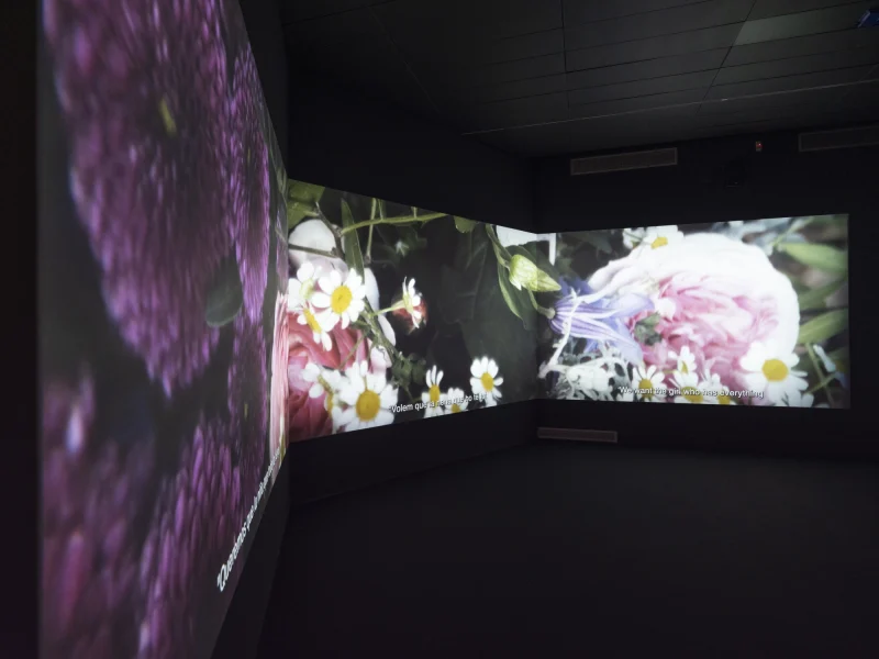 AleixPlademunt_MerceRodoreda_CCCB_009